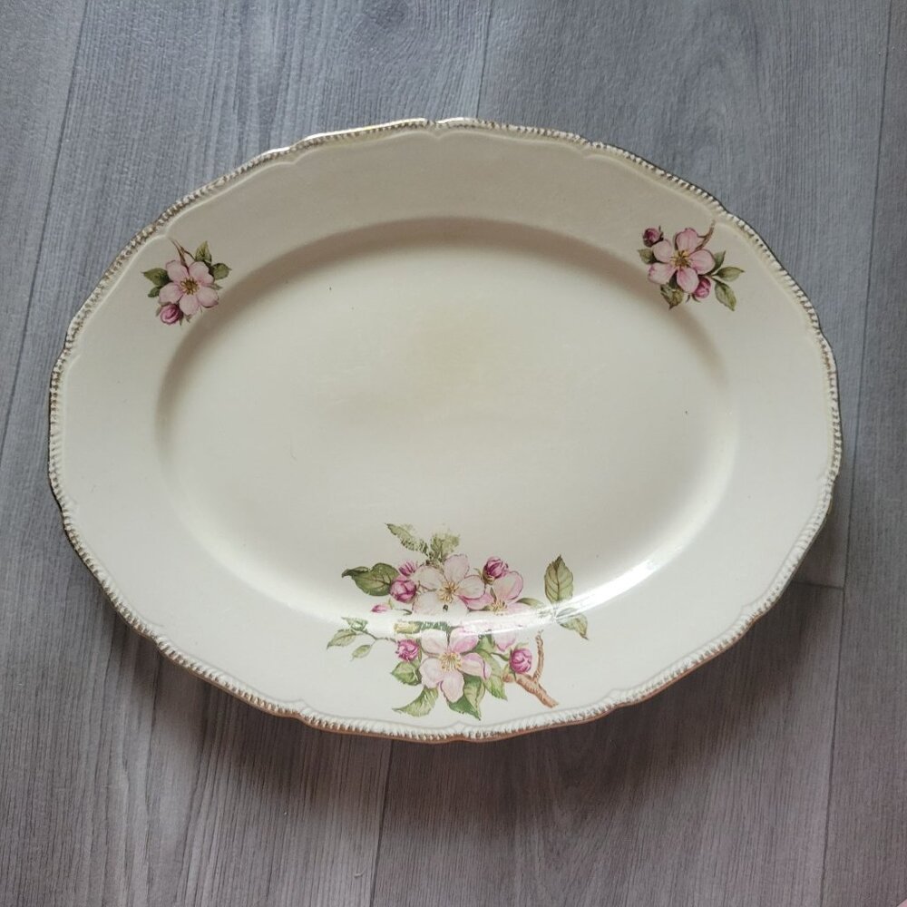 Royal Swan Blossomtime Oval Serving Platter 14" Long Cream Ironstone